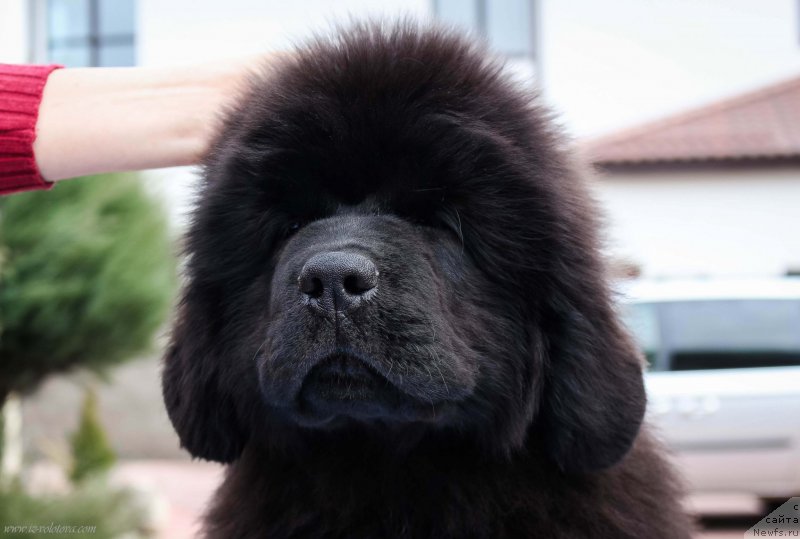 Фотография № 204955