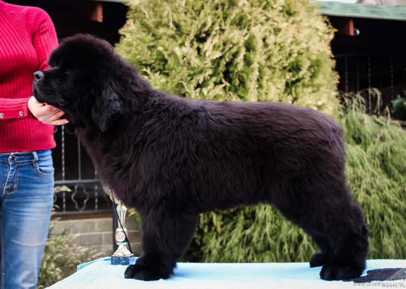 Фотография № 204960