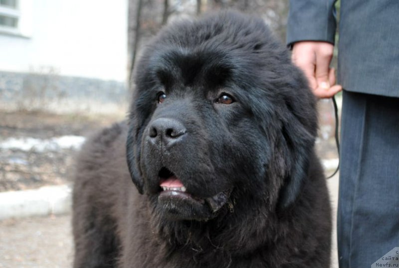 Фотография № 204979