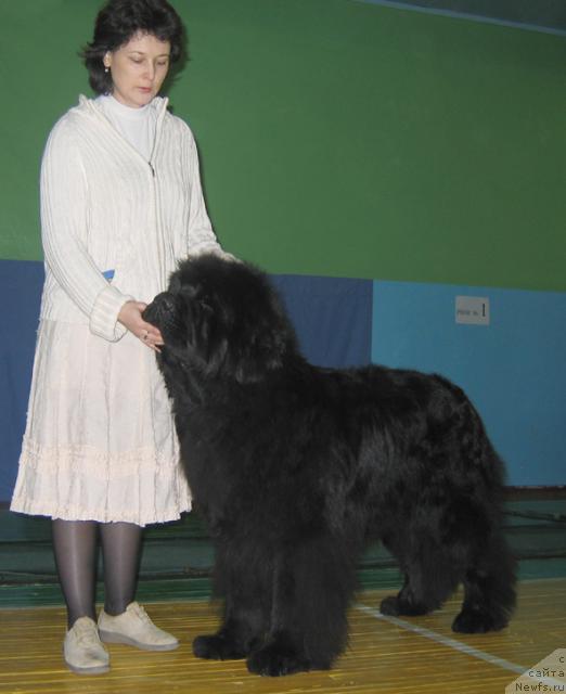 Фотография № 20499