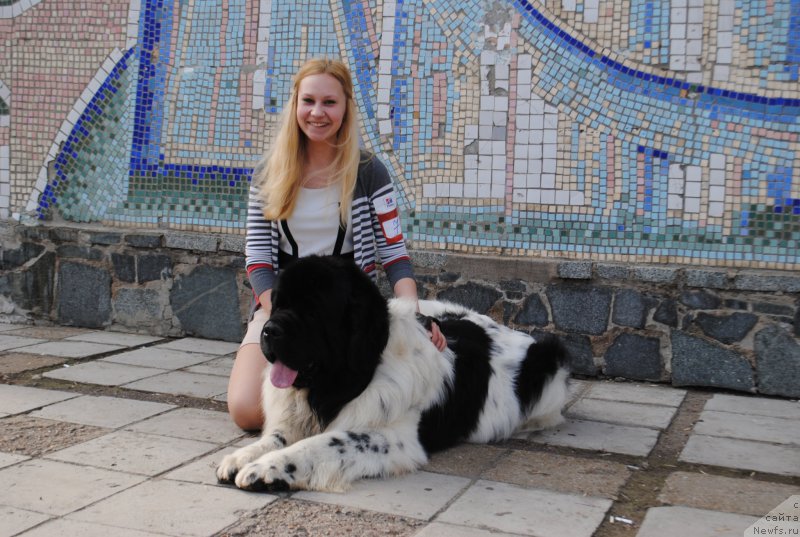 Фото: ньюфаундленд Кипер Соул Ноу Даут Бэст (Keeper Soul Nou Daut Best)