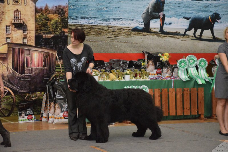 Фотография № 205005