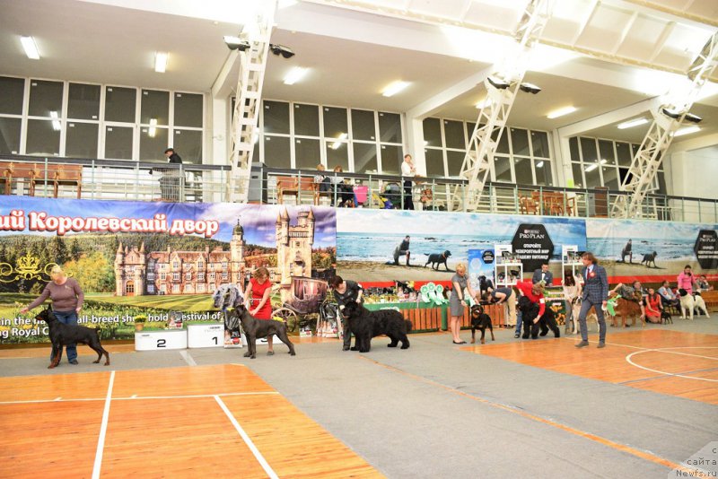 Фотография № 205006