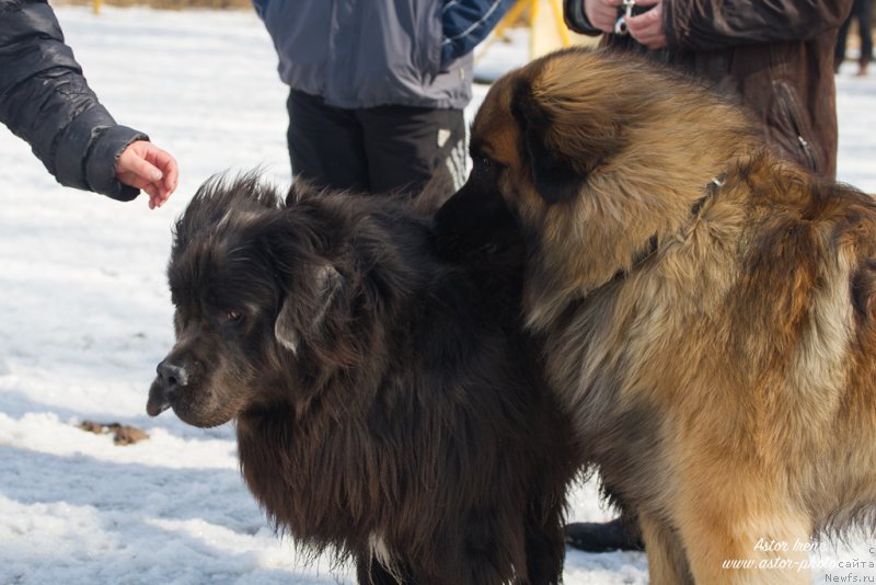 Фотография № 205026