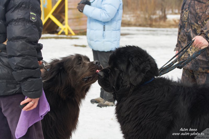 Фотография № 205028