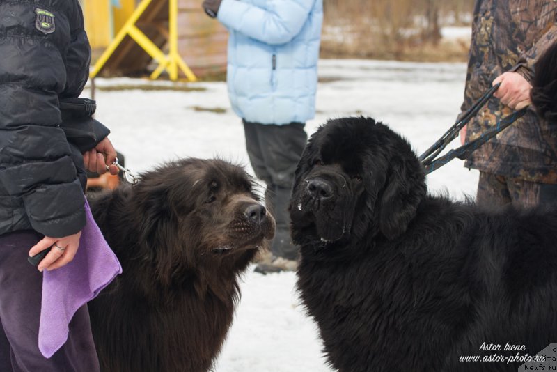 Фотография № 205029