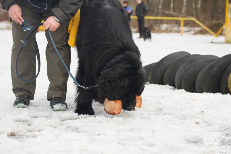 Фотография № 205035