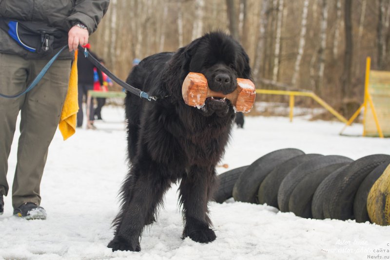 Фотография № 205036