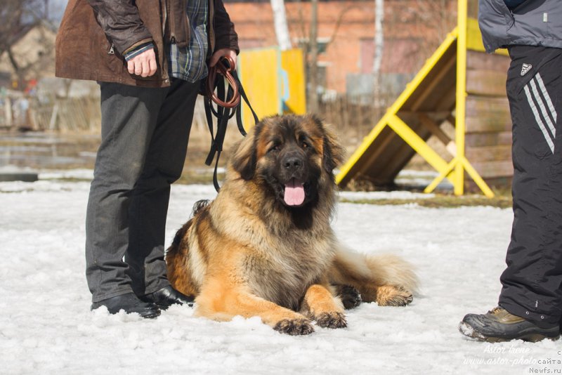 Фотография № 205038