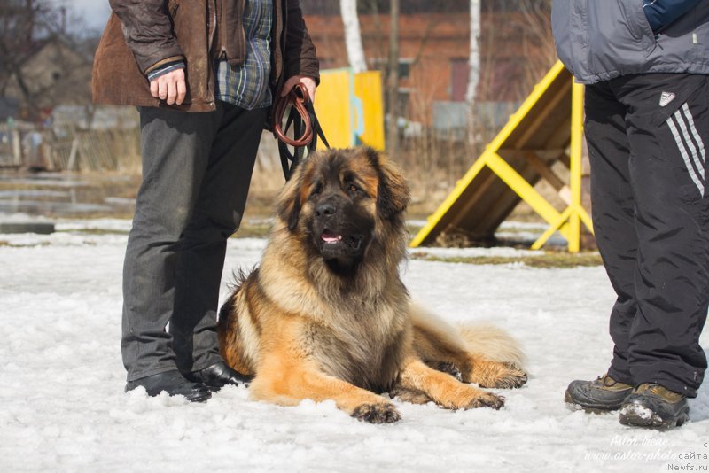 Фотография № 205039