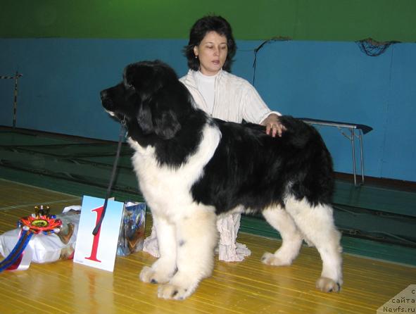 Фотография № 20504