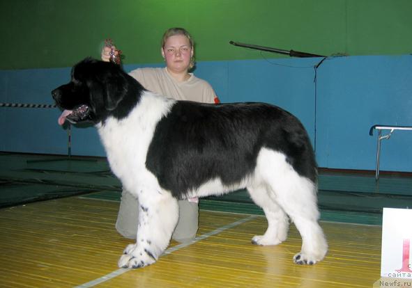 Фотография № 20505