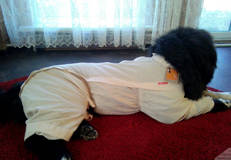 Фотография № 205051