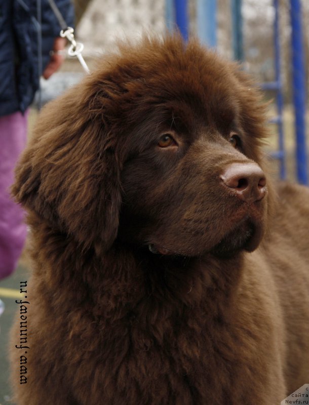 Фотография № 205056