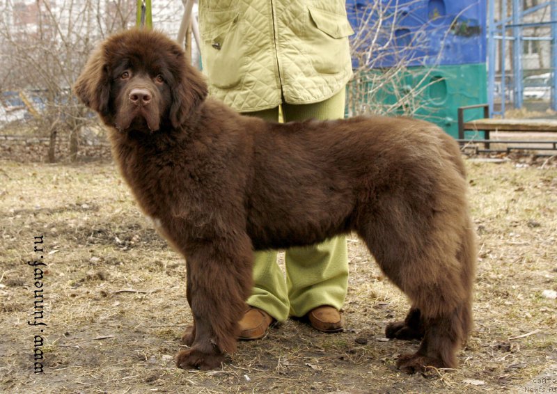 Фотография № 205060