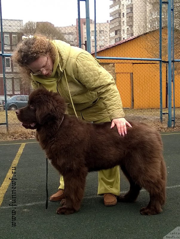 Фотография № 205061