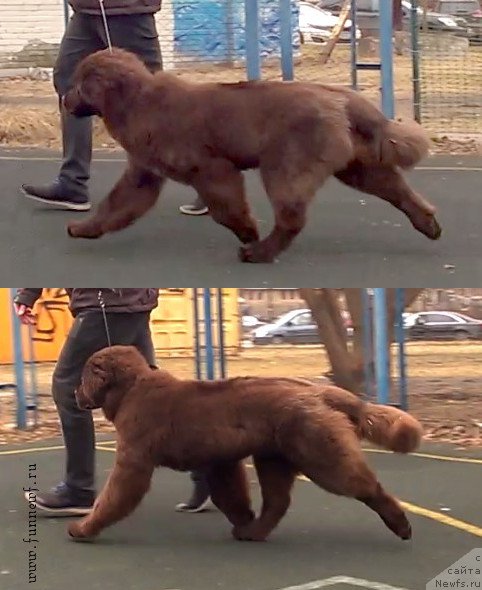 Фотография № 205064