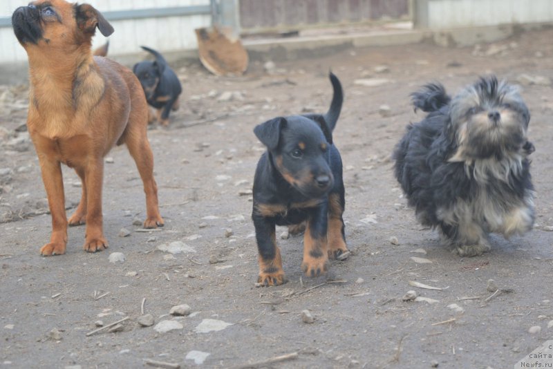 Фотография № 205087