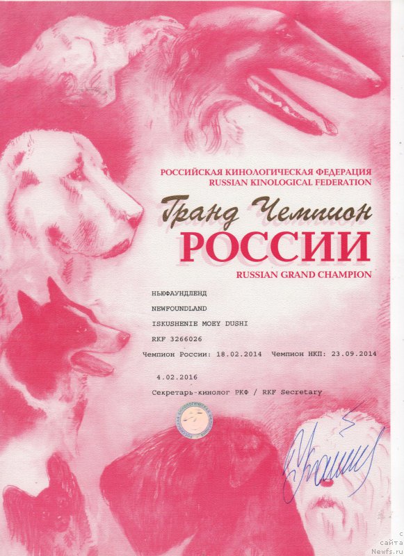 Фото: ньюфаундленд Искушение Моей Души (Iskushenie Moey Dushi)