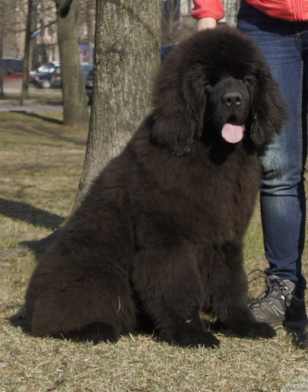 Фотография № 205099