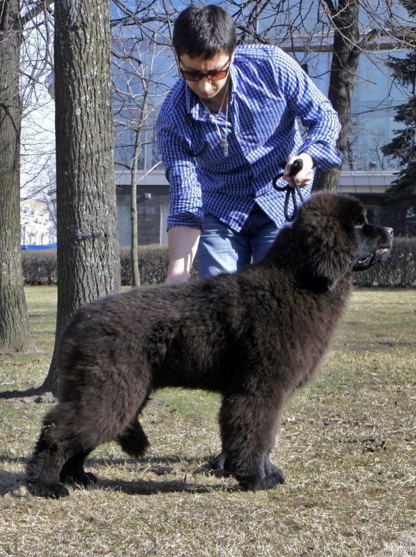 Фотография № 205108