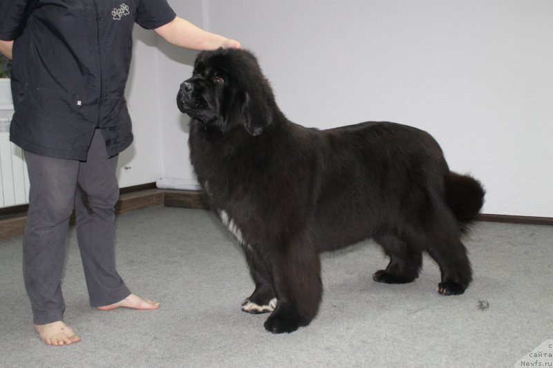 Фотография № 205123