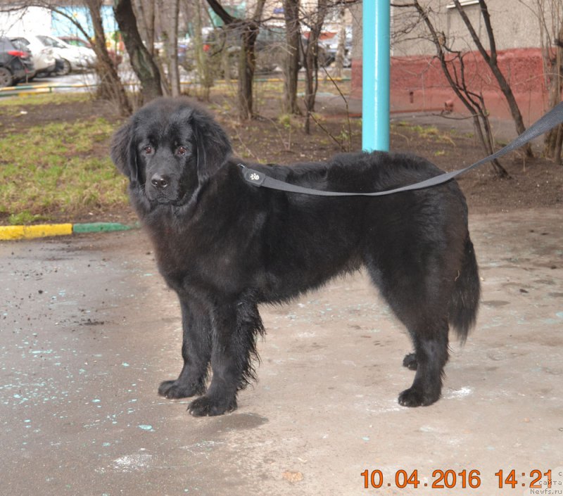 Фотография № 205149