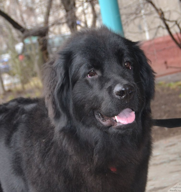 Фотография № 205150