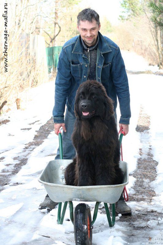 Фотография № 205200