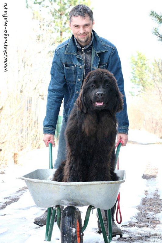 Фотография № 205201