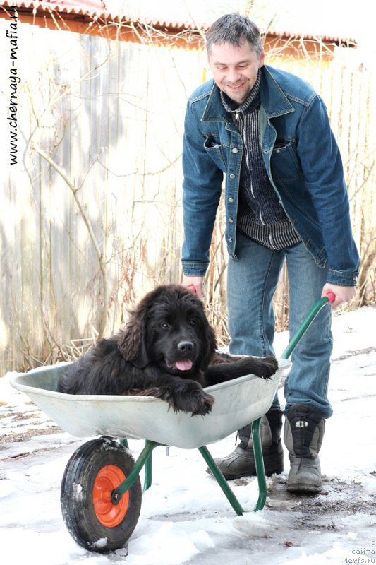 Фотография № 205202