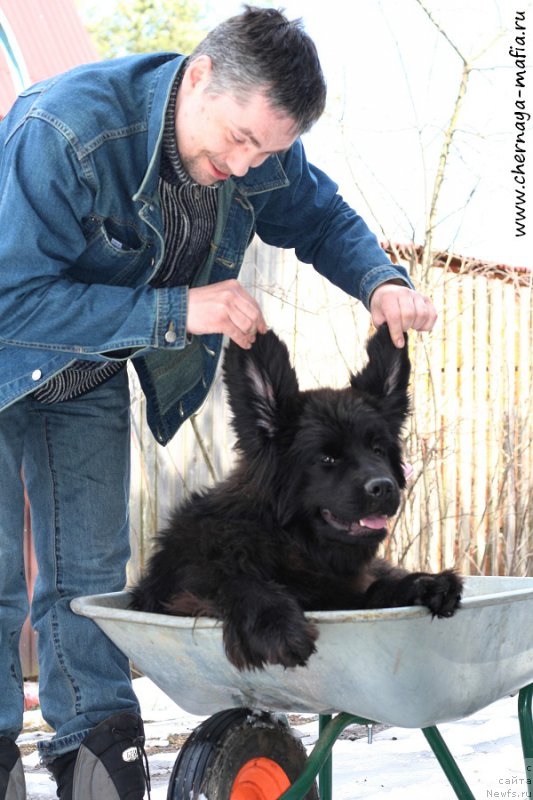 Фотография № 205204