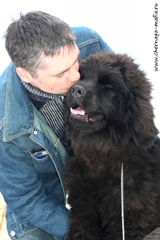 Фотография № 205206