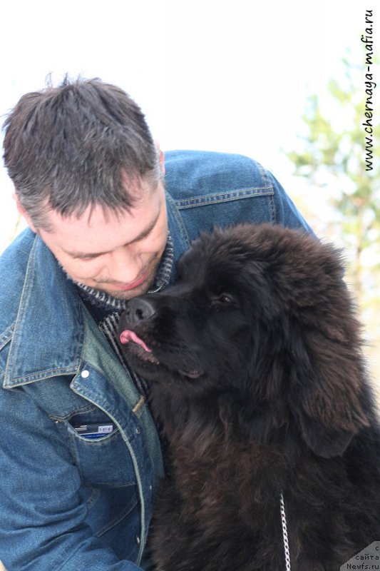 Фотография № 205207