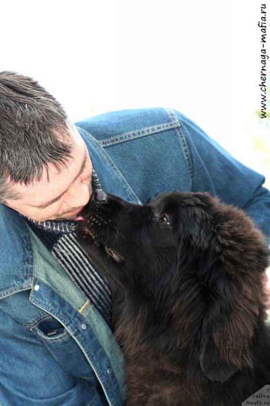 Фотография № 205208