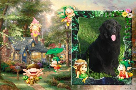 Фотография № 20526