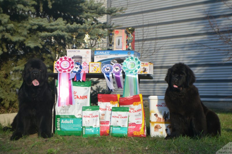 Фотография № 205286