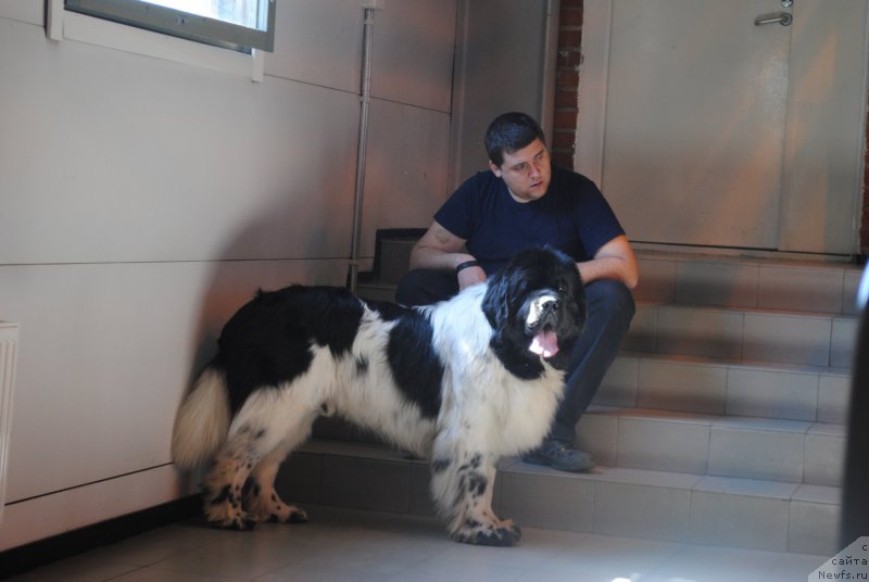 Фотография № 205311