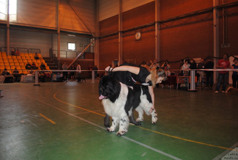 Фотография № 205315