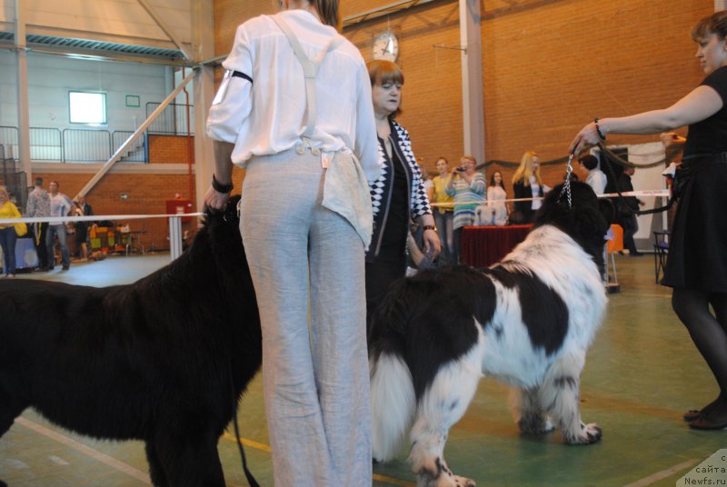 Фотография № 205319