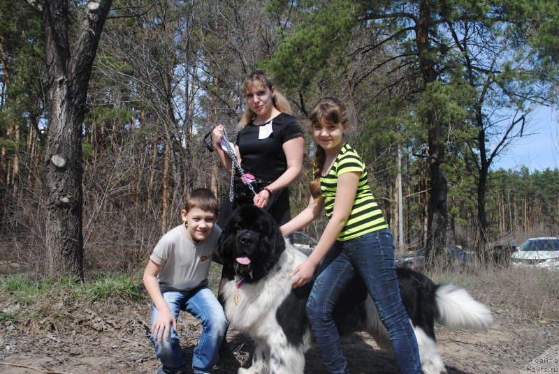 Фотография № 205320