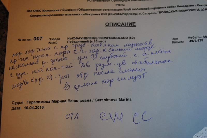 Фотография № 205322