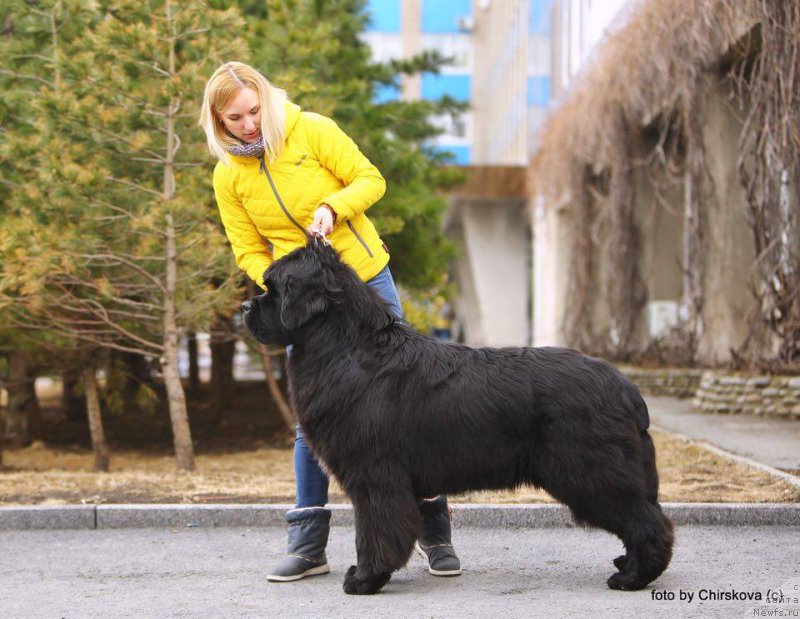 Фотография № 205337