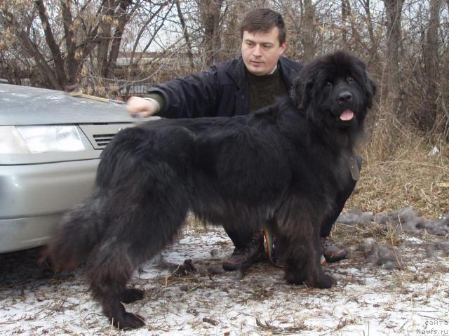 Фото: Олег Бочаров, Алдра