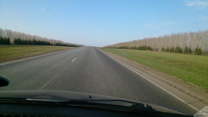 Фотография № 205364