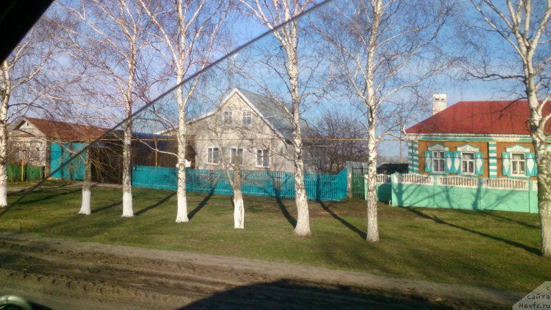 Фотография № 205365