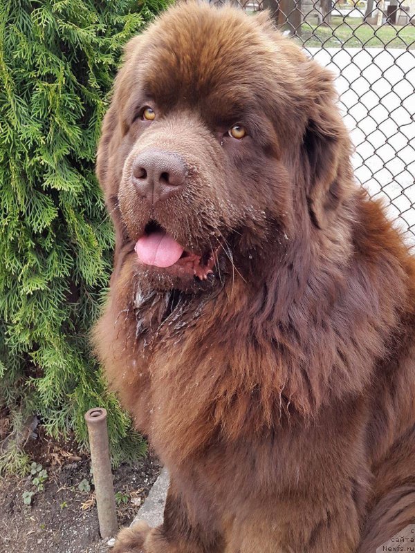 Фотография № 205366