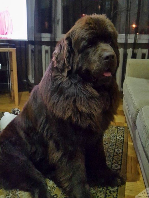 Фотография № 205369