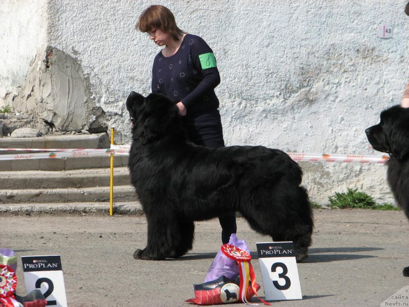 Фотография № 205370