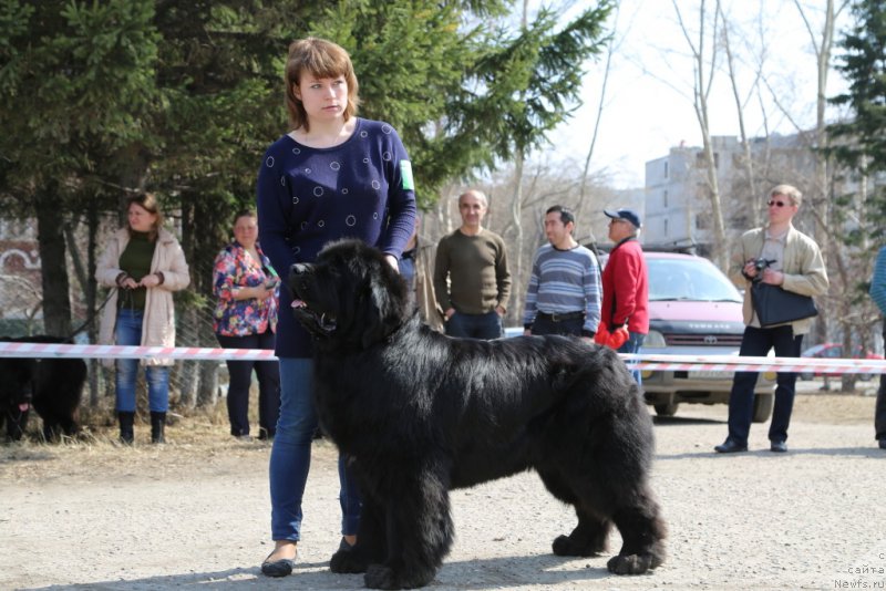 Фотография № 205371